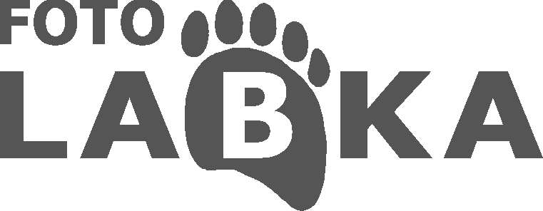 Fotolabka logo